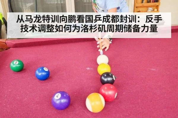 从马龙特训向鹏看国乒成都封训：反手技术调整如何为洛杉矶周期储备力量