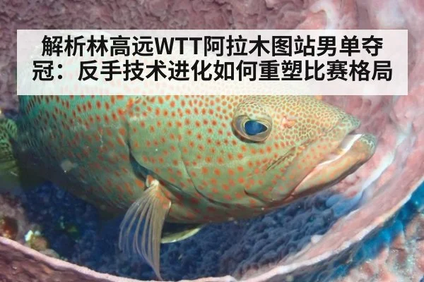 解析林高远WTT阿拉木图站男单夺冠：反手技术进化如何重塑比赛格局